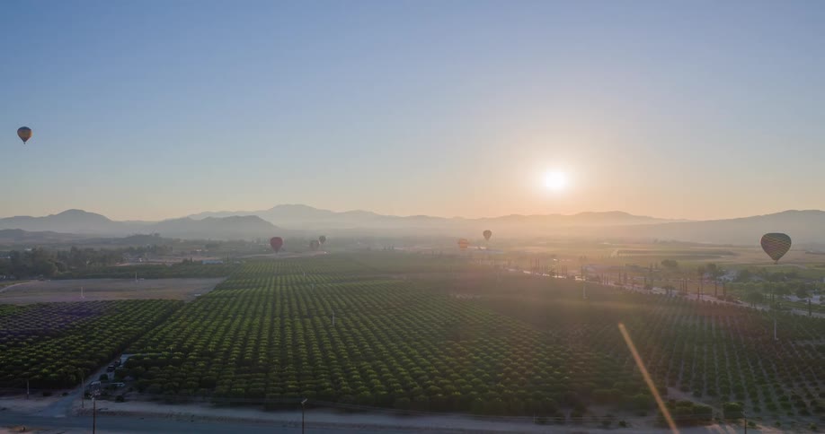 Balloons flying over a natural agricultural area with the sun on the horizon