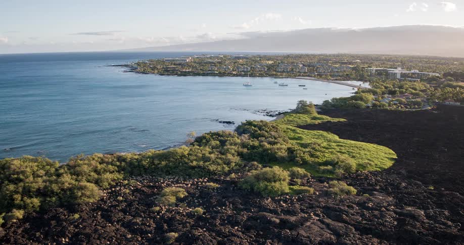 A city on the coastline with the shore lined by trees and green vegetation at midday