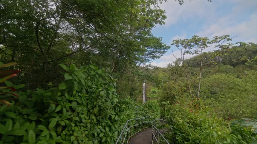 The video shows a person walking along a path with metal handrails surrounded by a dense jungle landscape a waterfall is visible in the distance surrounded by lush foliage