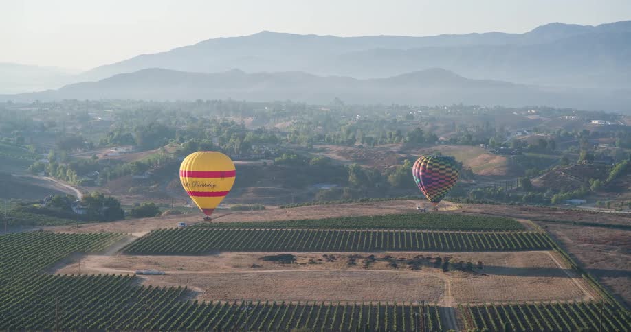 The video shows an aerial view of a landscape with two hot air balloons the hot air balloons one yellow and one multicolored are floating above a vineyard and some trees with mountains visible in the hazy background