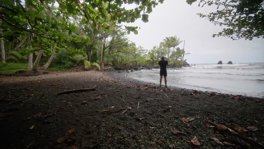 The video shows a person standing in a small clearing surrounded by lush green foliage and trees the person seen from behind is looking out at the ocean which is visible through an opening in the trees