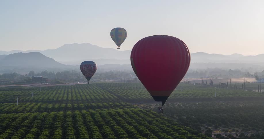 Colorful balloons flying over an agricultural area with mountains in the background