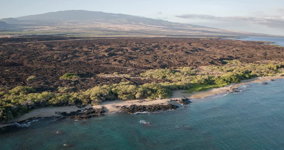 A deserted beach with trees near the sand and a large mountain on the horizon