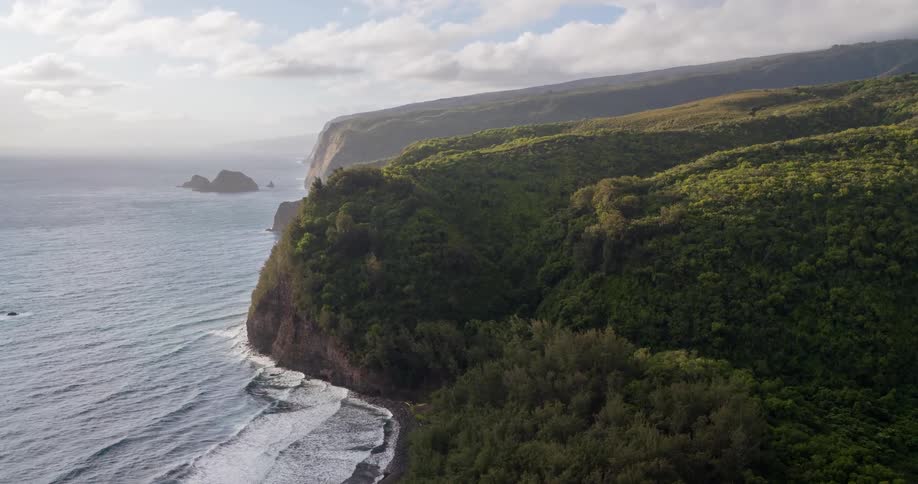 An aerial shot soars along a dramatic and lushly forested coastline where steep cliffs meet the sea
