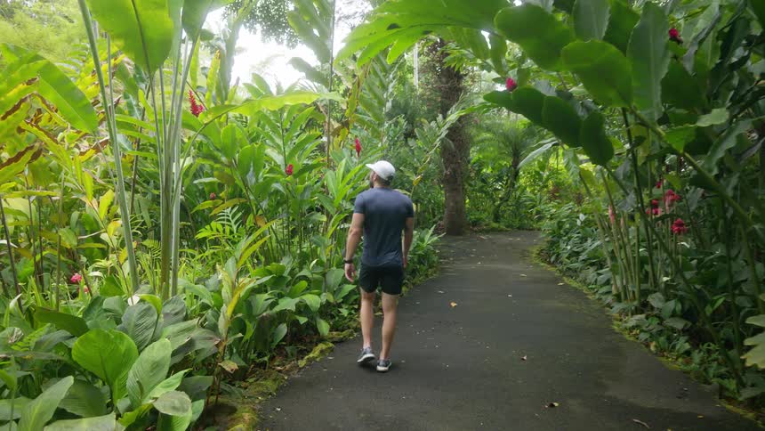 A man wearing a white baseball cap sunglasses a dark blue tshirt and black shorts is walking down a paved path in a lush botanical garden surrounded by tropical plants