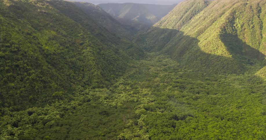A high angle view shows a deep valley covered in a dense green forest as the camera slowly tilts upward to reveal a cloudy sky above the hillsides