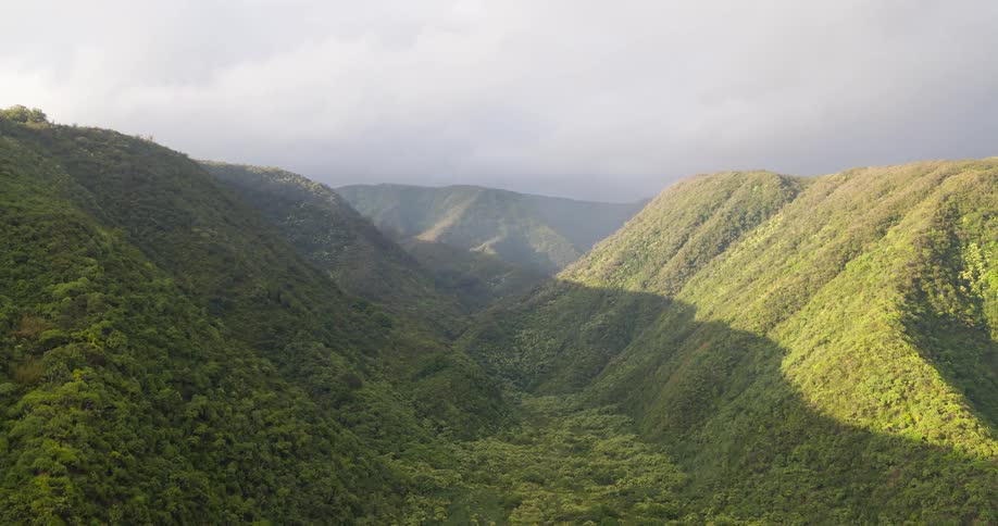 Dense vegetation covers a narrow valley and the mountains forming it on a cloudy day