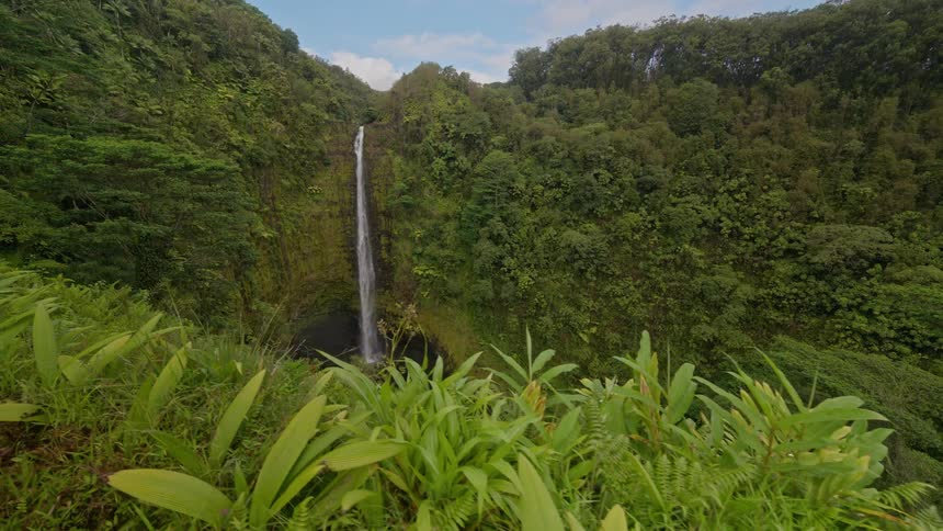 Landscape of a wooded mountain with a freefalling waterfall