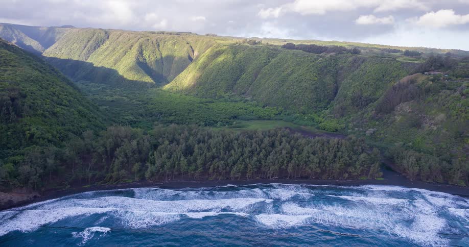 A high vantage point overlooks a dramatic coastline where a darksand beach is bordered by a forest of green trees and a massive steep mountain range