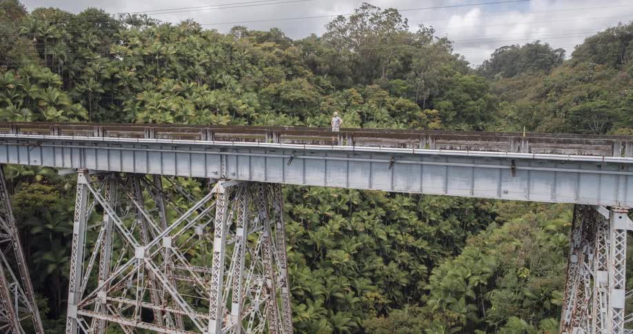 A man stands at the center of a rusted metal bridge gazing into a dense forest of towering green trees beneath a partly cloudy sky