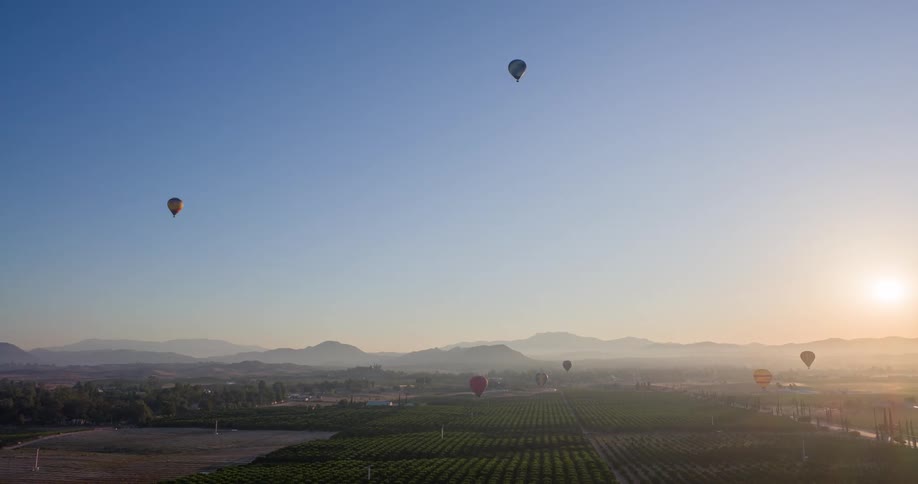 Hot air balloons float over a vast hazy valley with vineyards at sunrise