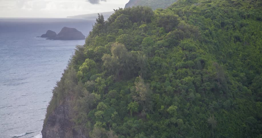 Towering lushly forested cliffs stretch along a dramatic coastline plunging into the sea under a hazy sky