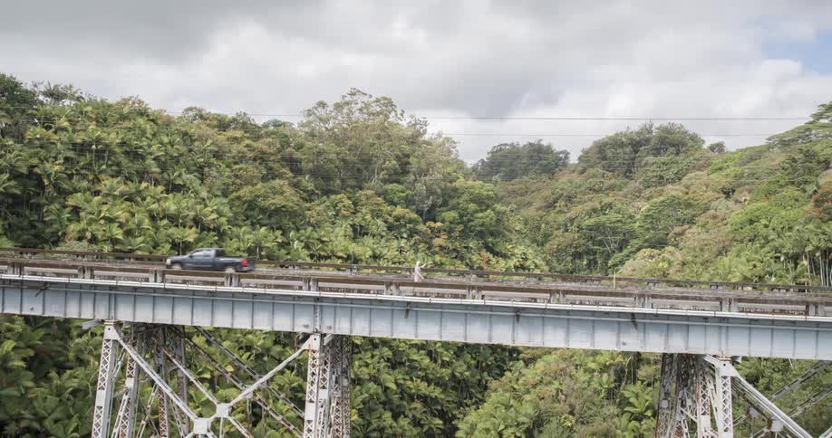 A man walks along a high trestle bridge overlooking a dense jungle waving as a truck drives past him