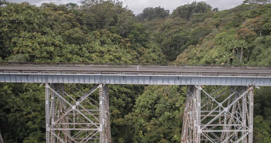 A railway bridge with a vast forest underneath at midday