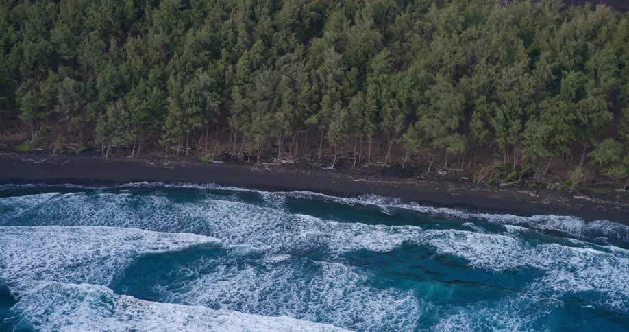 The video shows a highangle aerial shot of waves crashing on a black sand beach a dense forest of green trees lines the back of the beach creating a striking contrast between the ocean and the land