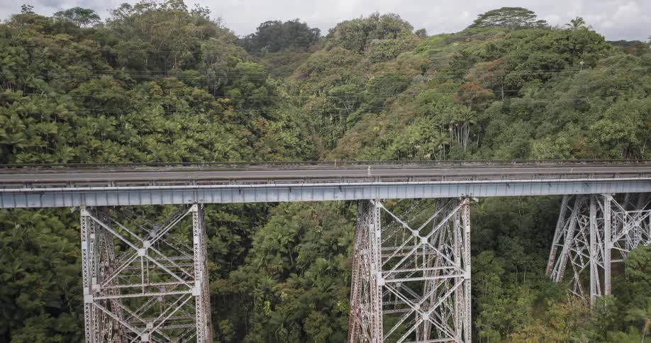 Man walking on a metal bridge surrounded by forest