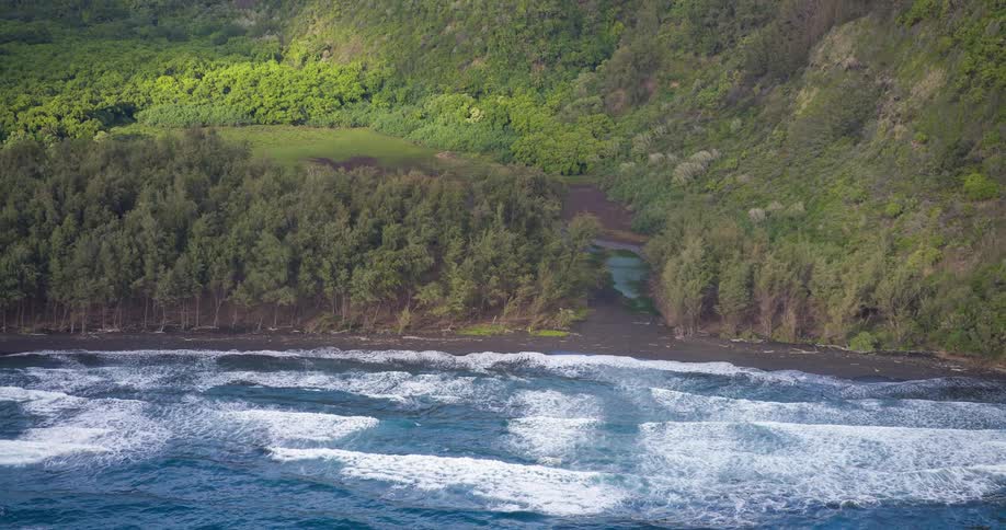 Aerial view of ocean waves crashing onto a treecovered shoreline