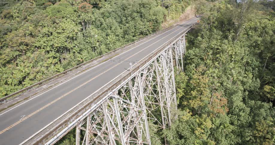 Man walking across a bridge in a natural area