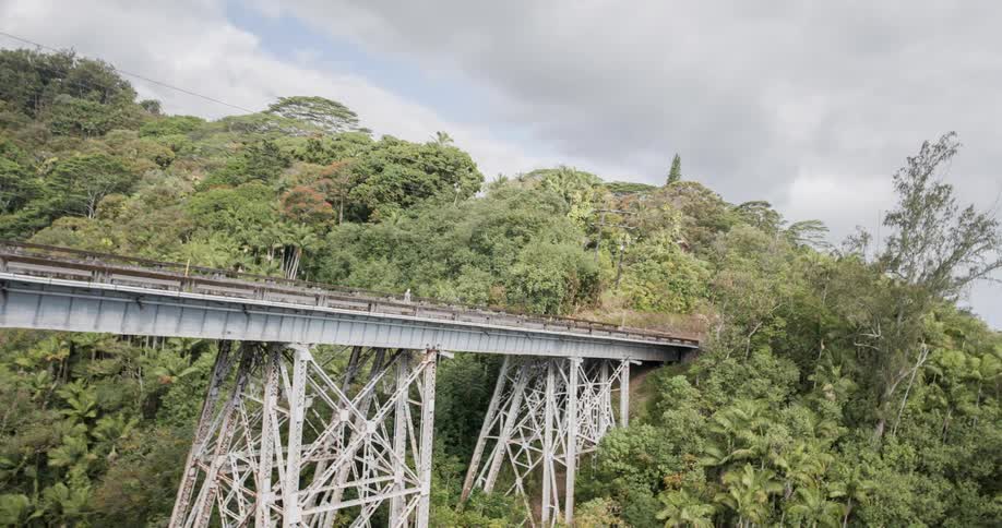 A man walks across a high steel trestle bridge that spans a deep jungle filled ravine under a cloudy sky