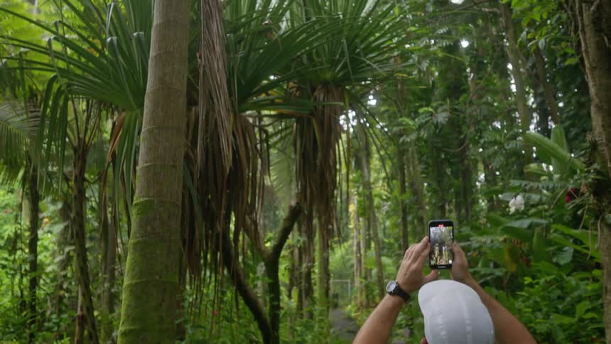 A man on a jungle path takes a picture of a large tropical plant with his phone