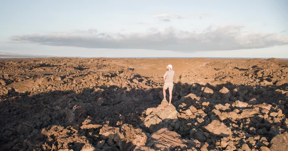 A man stands with his hands on his hips surveying a vast and rugged volcanic landscape with distant mountains and the sea in the background