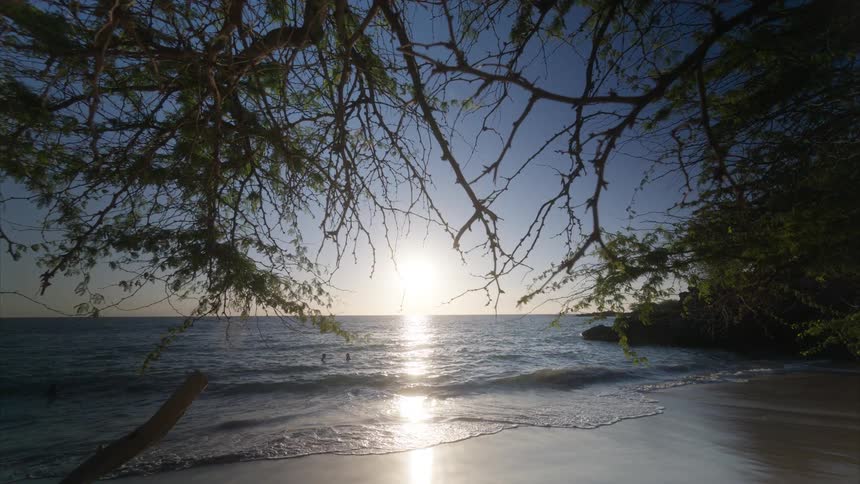 Beach with tree branches framing the sea at sunset