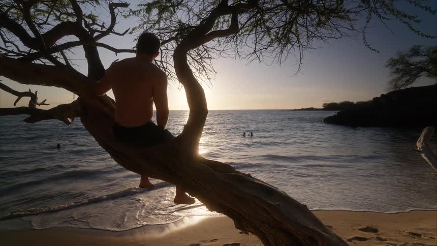 Man sitting on a tree trunk on a beach in the late afternoon