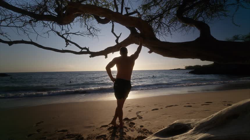 Man standing on the beach leaning against a tree branch looking at the sea at sunset