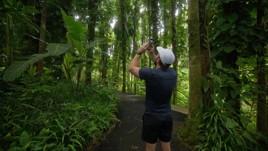 Man in cap walking along a trail in a rainforest during daytime