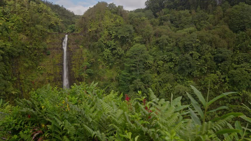 A tall narrow waterfall cascades down a lush green forested cliff