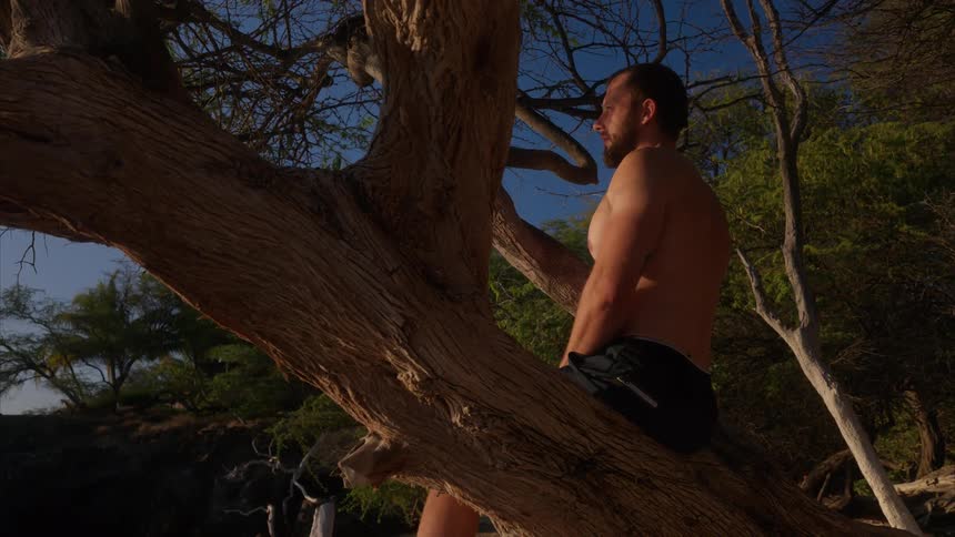 A shirtless man with a beard sits thoughtfully in a large gnarled tree on a beach looking out towards the horizon
