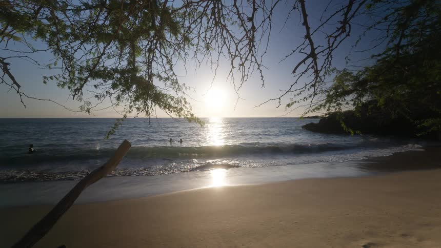 Deserted beach at sunset with tree branches in the foreground