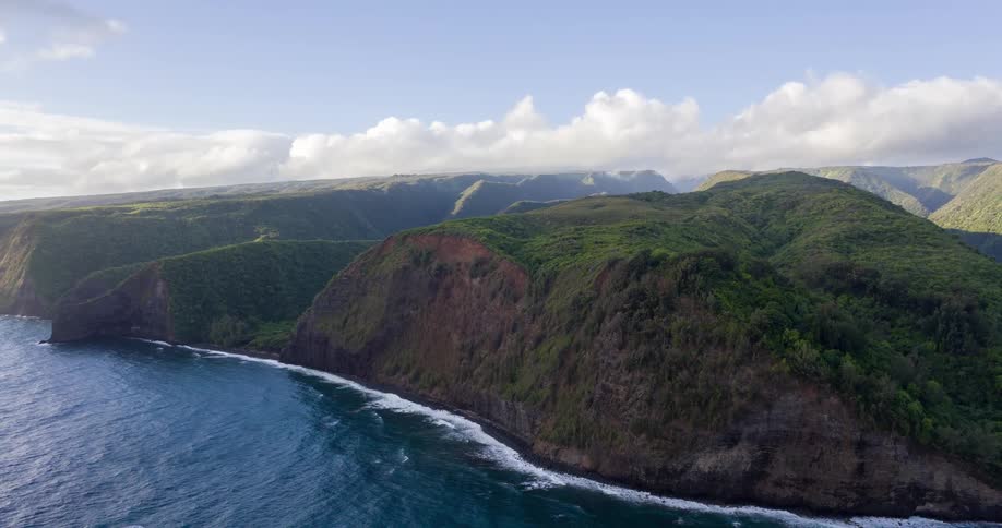 Cliff covered with green vegetation along the ocean coast