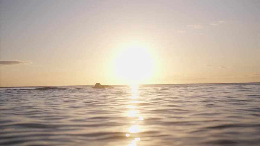 The man is swimming in the ocean