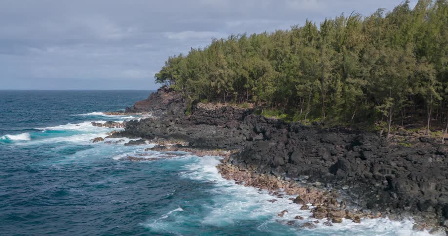 Waves roll into shore splashing against rocks along the forested coast