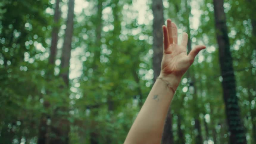 A young woman in the woods doing yoga at midday