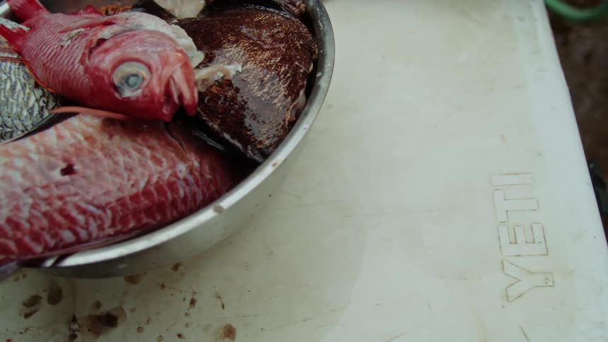 Metal bowl with fresh fish next to hands on a cutting board