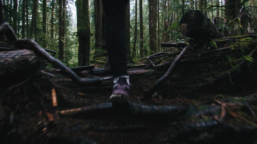 Person walking along a forest trail with exposed roots on the damp ground