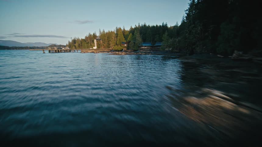 Houses by the water surrounded by forest