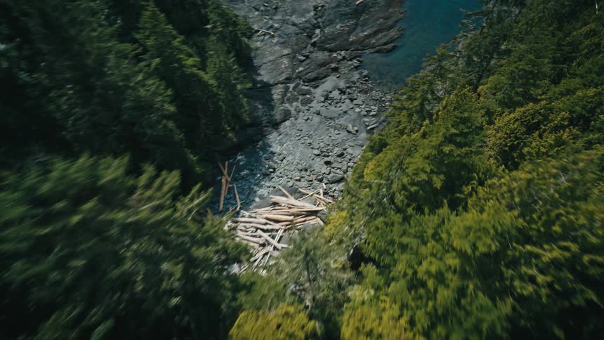 Flying through a forest and over water