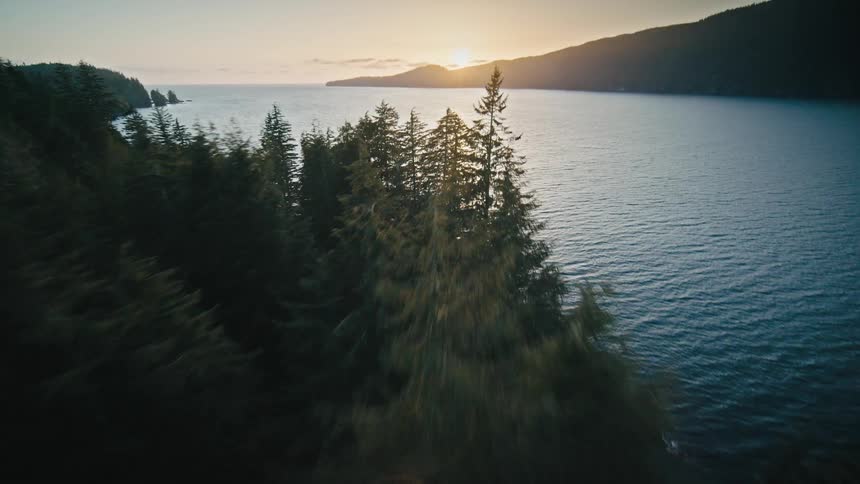 Aerial view over a forest leading into a lake then turning to the side revealing a rocky bay