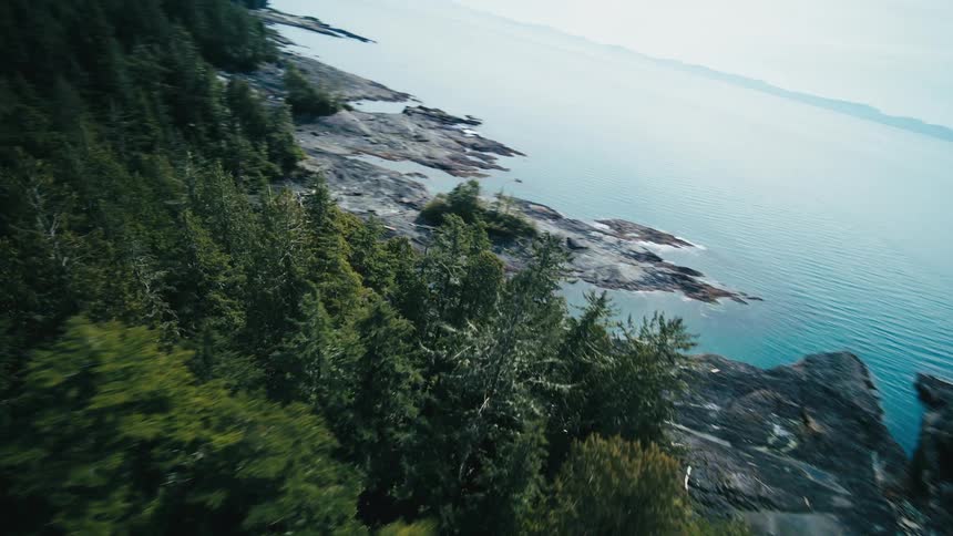 Aerial view of a rocky shoreline with trees and calm waters