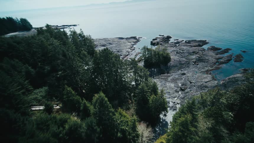 A firstperson view shows a quick flight through a forest of tall green trees emerging to a panoramic view of a rocky coastline next to a large body of water