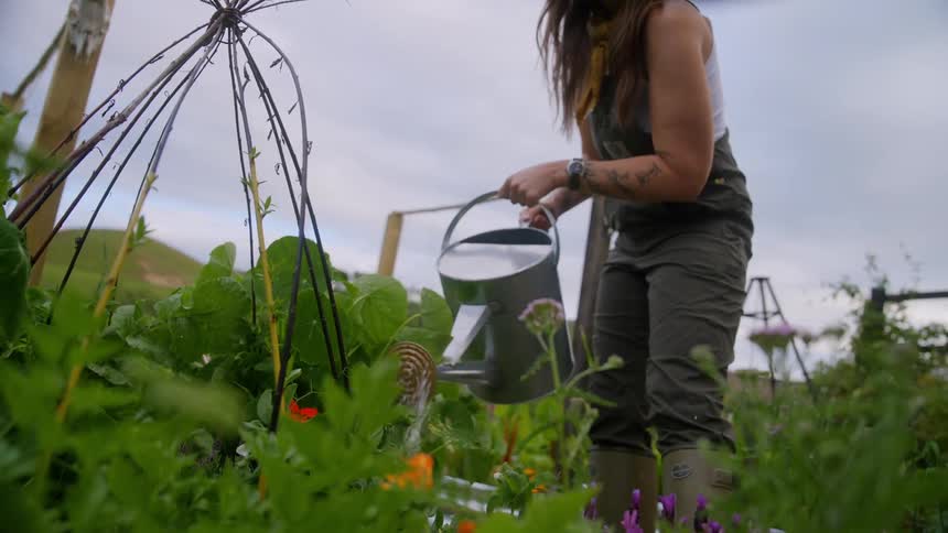 A woman waters plants in a lush outdoor garden