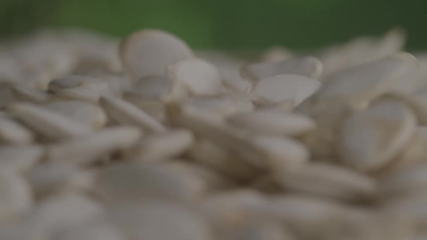 A close up view of seeds falling from above and landing on a pile of white pumpkin seeds