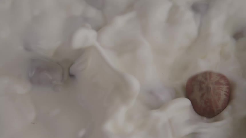Nuts splash down into milk then float in the white liquid