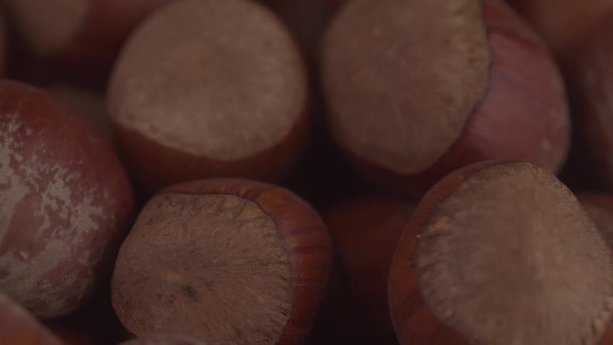 Closeup of whole hazelnuts with textured brown shells