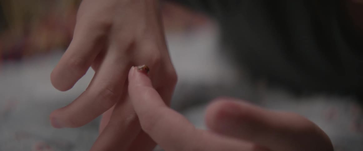 A person examines a ladybug on their hand