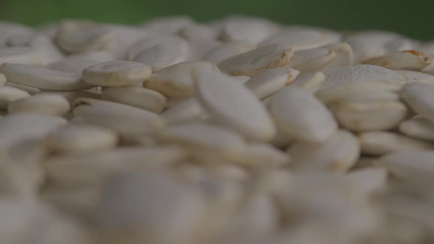 Closeup of stacked white pumpkin seeds with a blurred green background