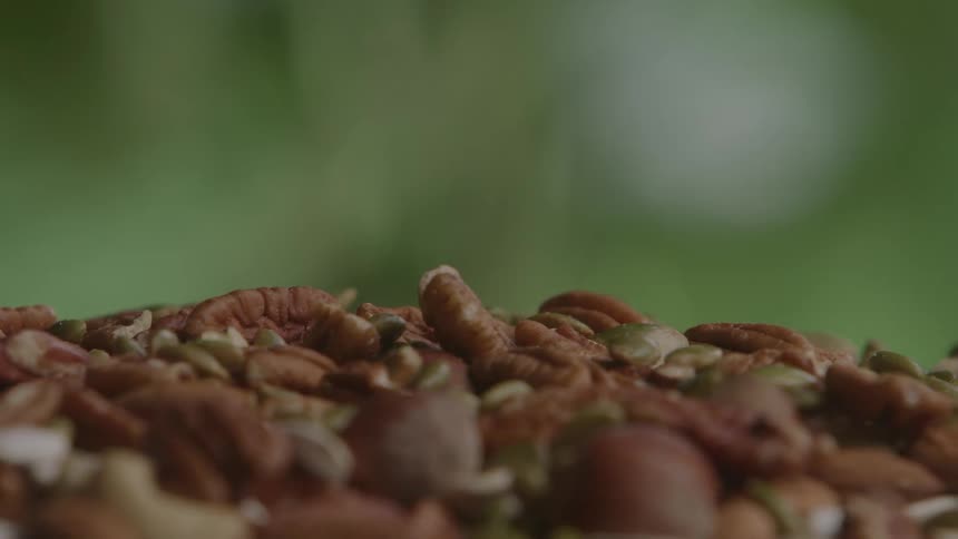 Mix of seeds and nuts arranged on a surface with a blurred green background